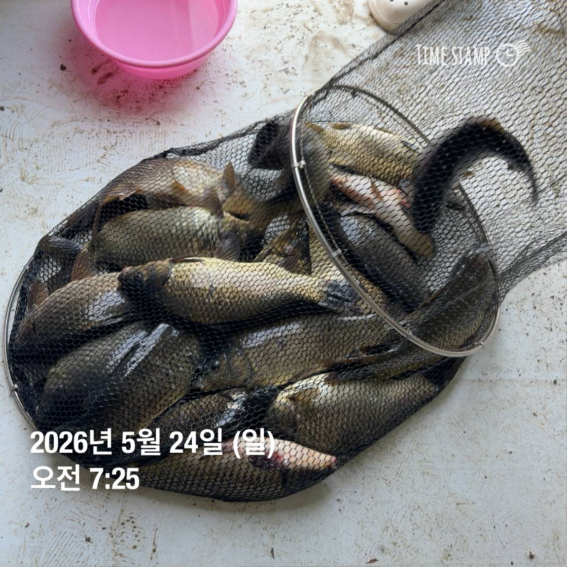 KakaoTalk_20260526_091804395_08.jpg