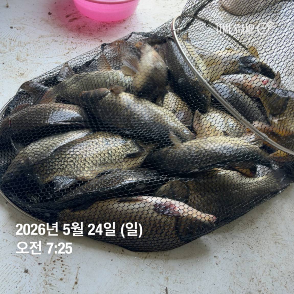 KakaoTalk_20260526_091804395_09.jpg