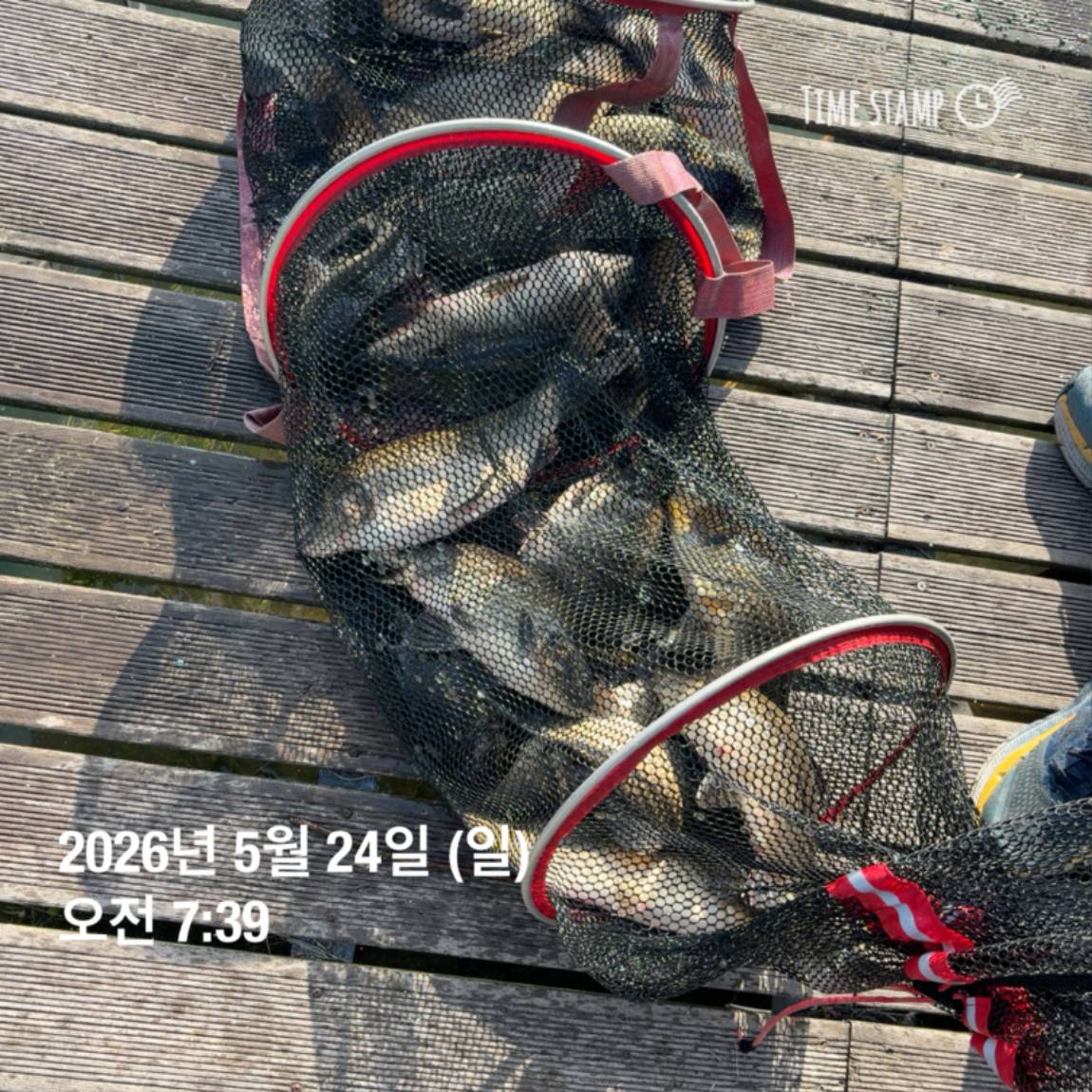 KakaoTalk_20260526_091804395_11.jpg