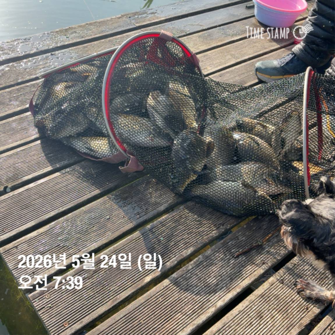 KakaoTalk_20260526_091804395_12.jpg