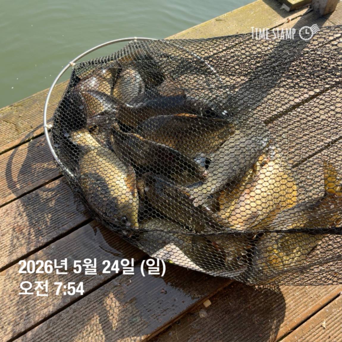 KakaoTalk_20260526_091804395_13.jpg