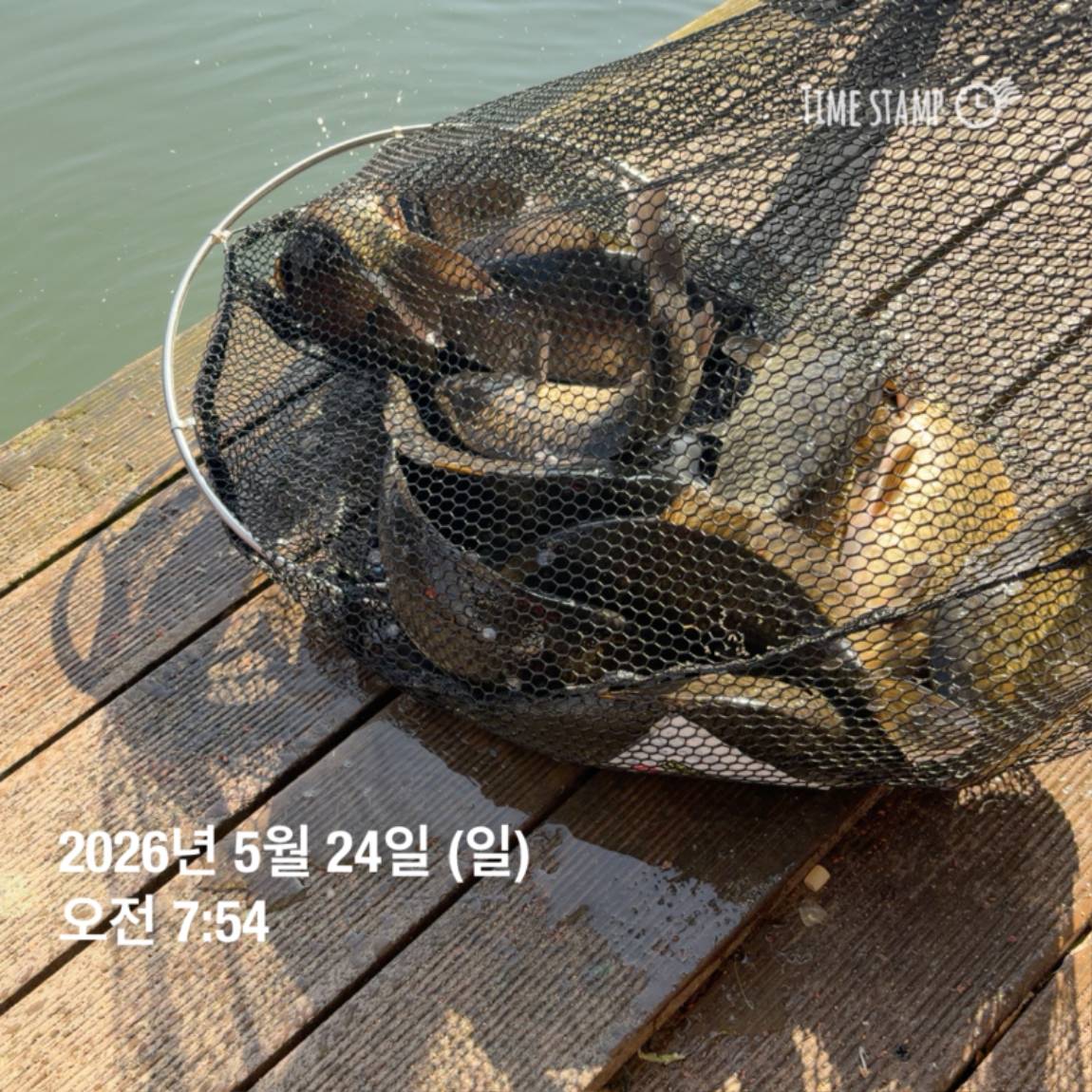 KakaoTalk_20260526_091804395_14.jpg