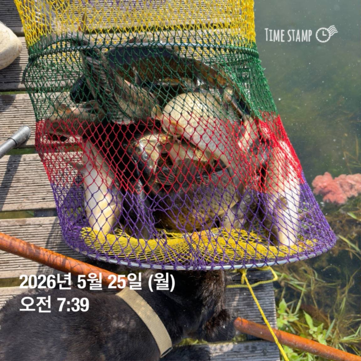 KakaoTalk_20260526_091804395_21.jpg