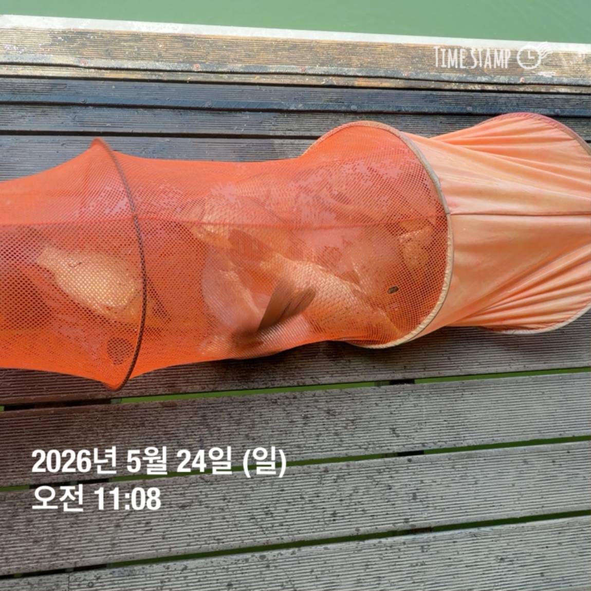 KakaoTalk_20260526_091804395_20.jpg
