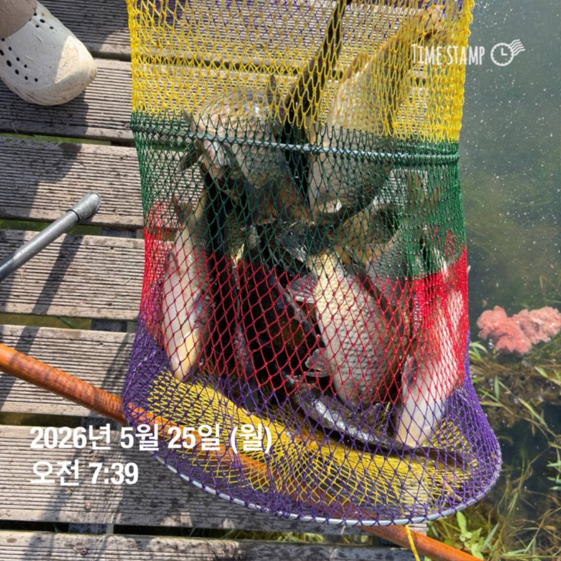 KakaoTalk_20260526_091804395_22.jpg