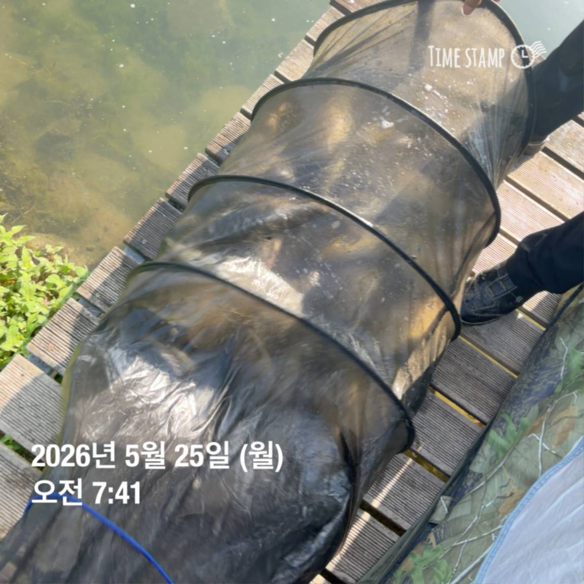 KakaoTalk_20260526_091804395_23.jpg