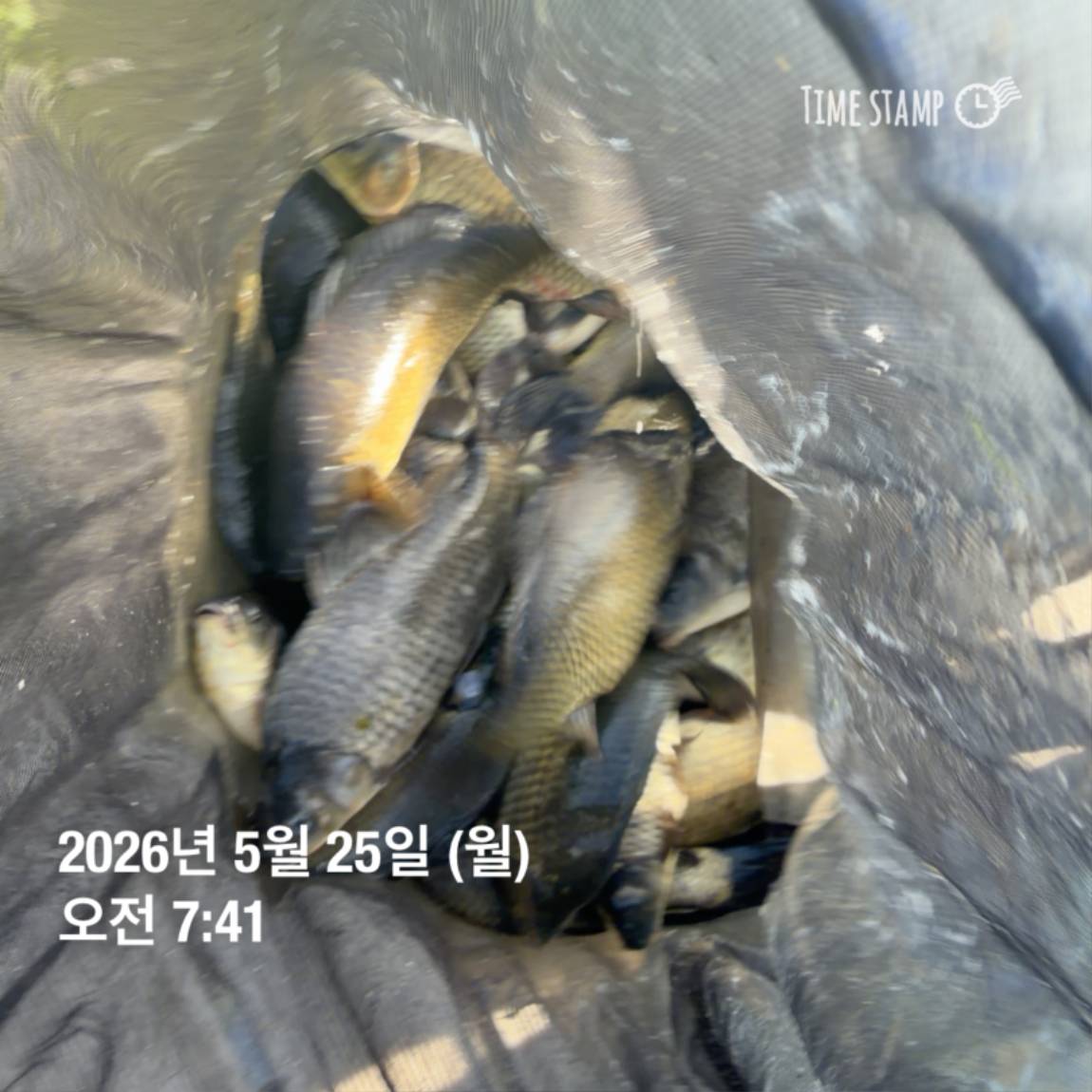 KakaoTalk_20260526_091804395_25.jpg