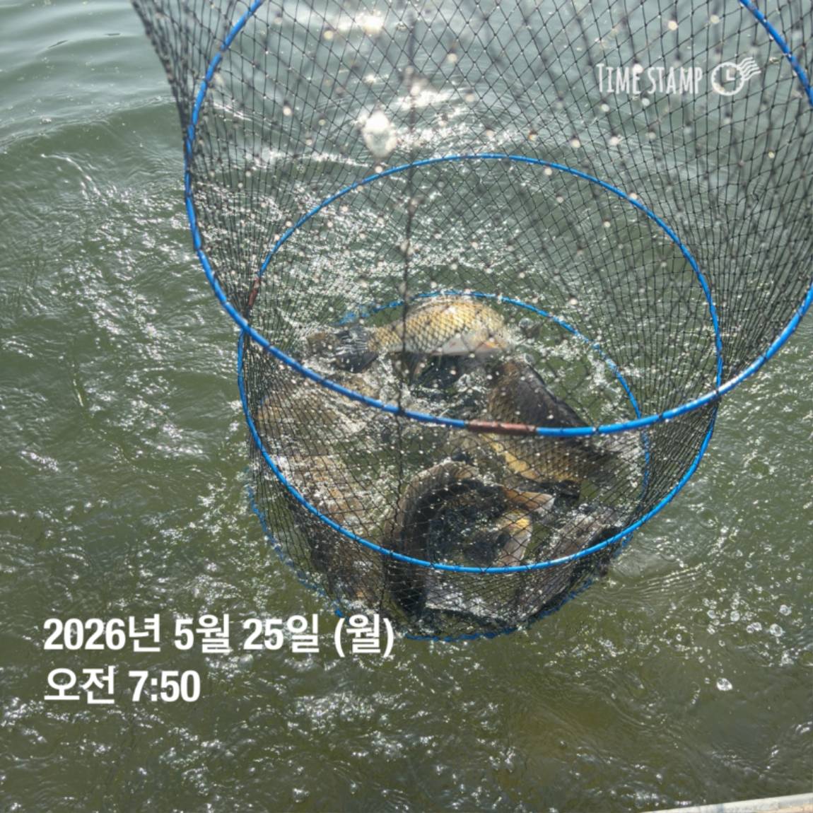 KakaoTalk_20260526_091804395_27.jpg
