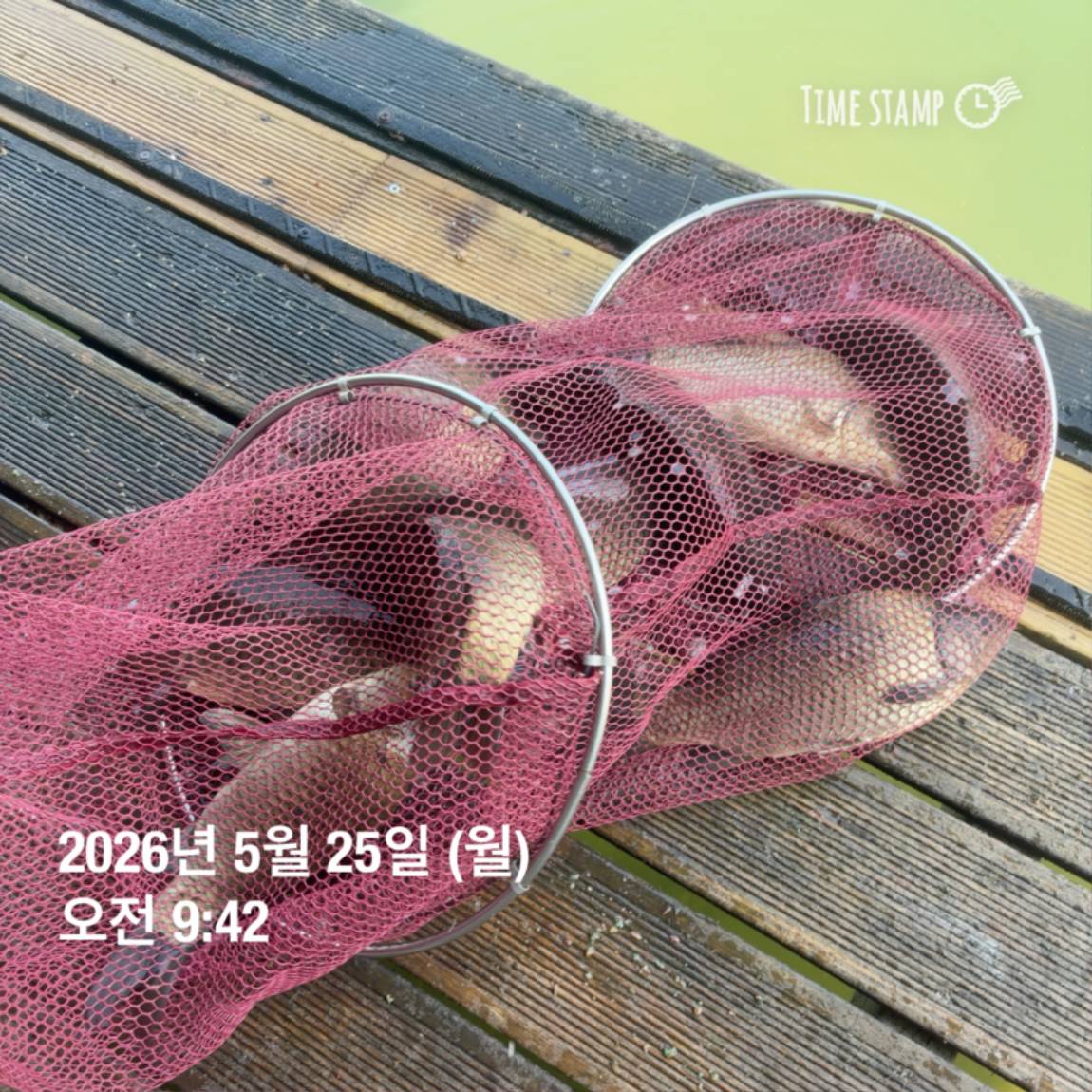 KakaoTalk_20260526_091809799_03 (1).jpg