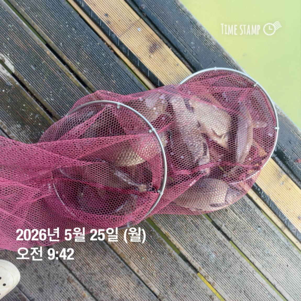 KakaoTalk_20260526_091809799_04.jpg