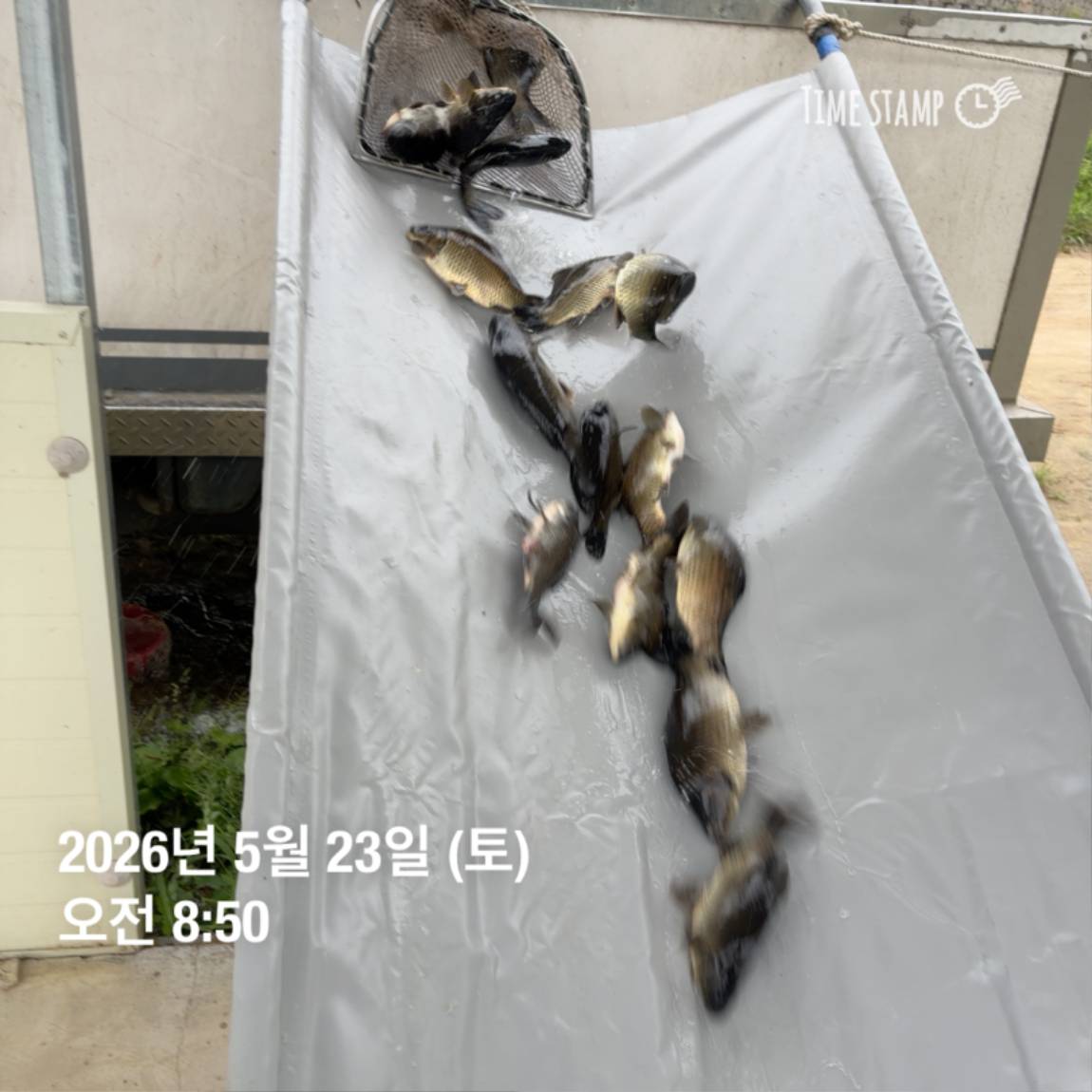 KakaoTalk_20260526_091809799_06 (1).jpg