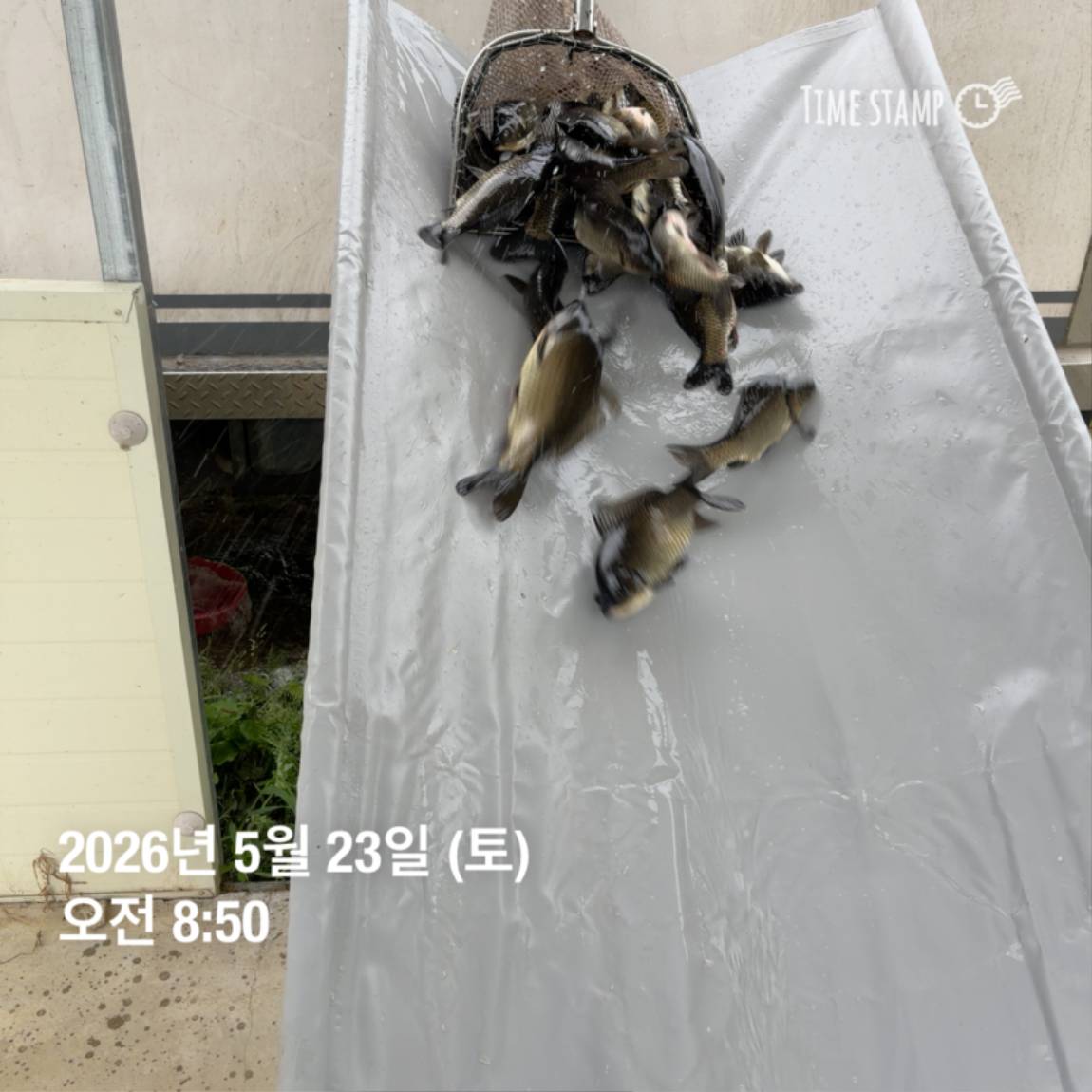 KakaoTalk_20260526_091809799_08 (1).jpg