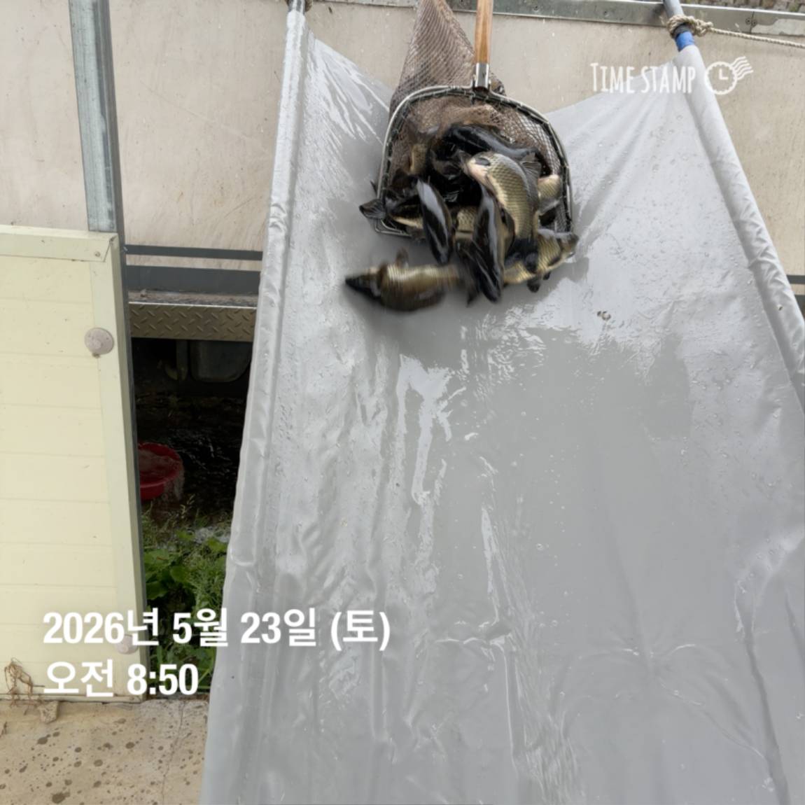 KakaoTalk_20260526_091809799_10 (1).jpg