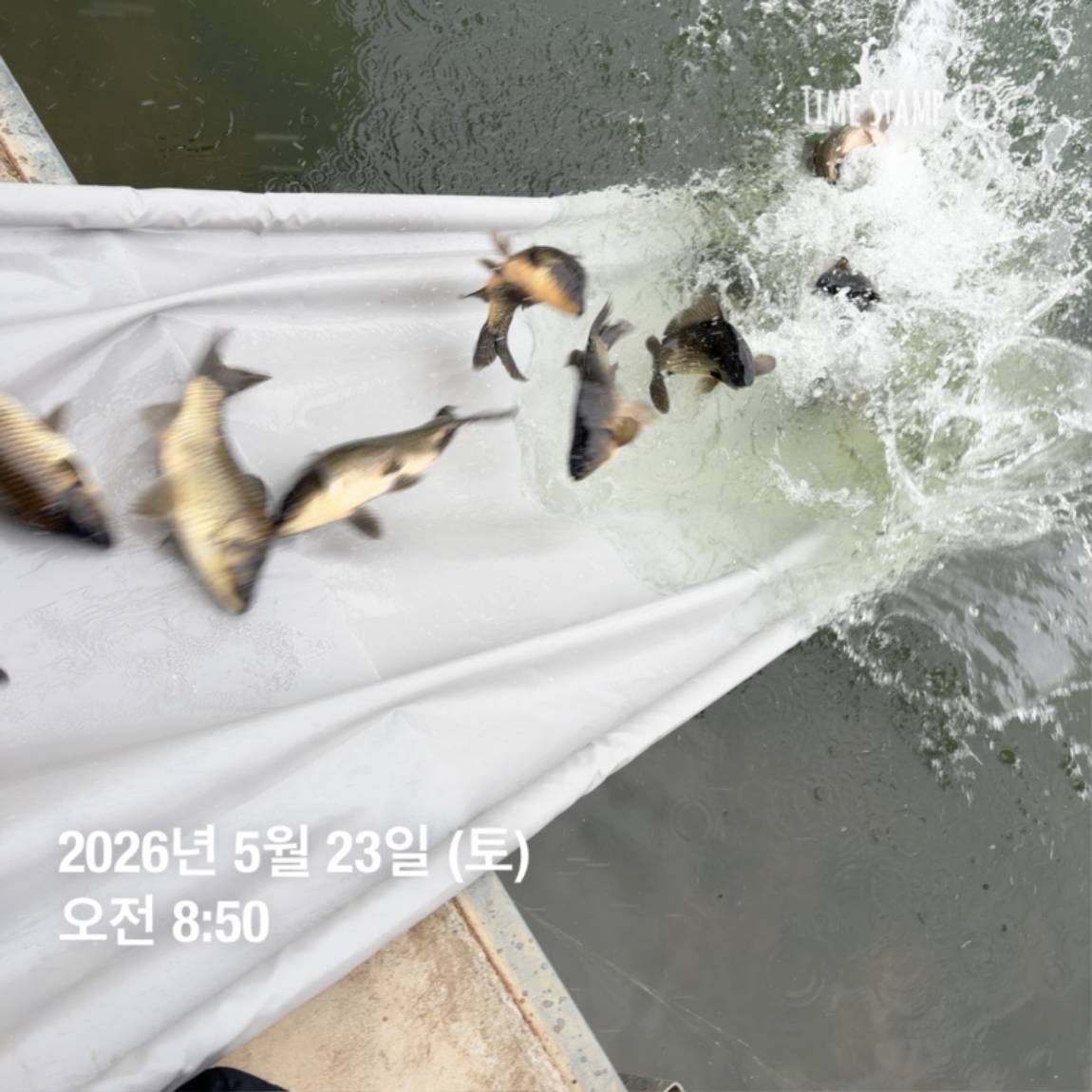 KakaoTalk_20260526_091809799_11 (1).jpg