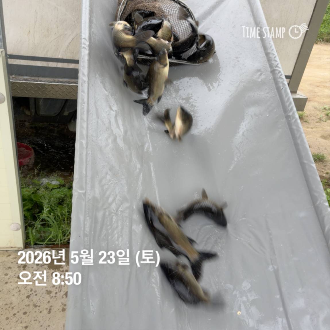 KakaoTalk_20260526_091809799_13 (1).jpg