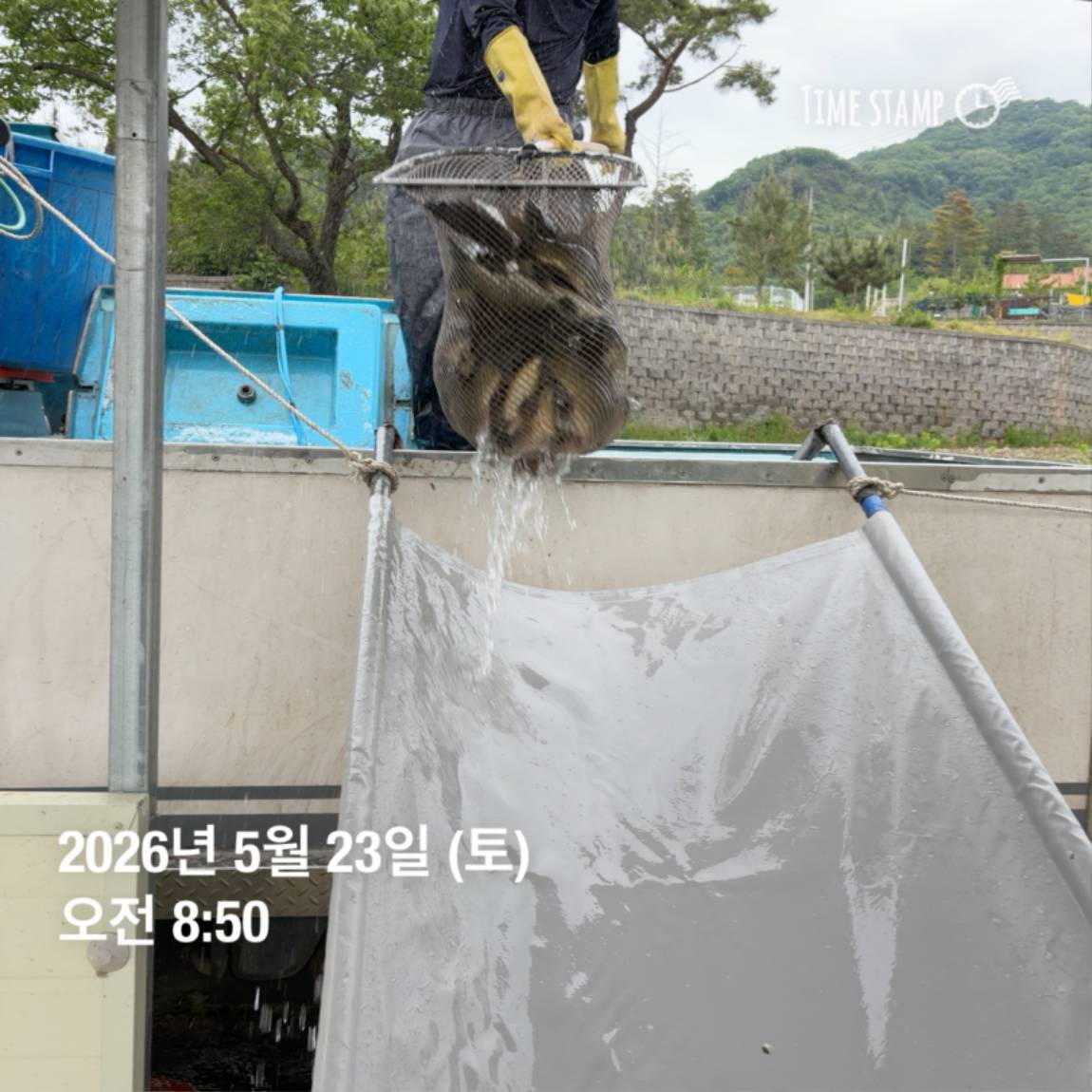KakaoTalk_20260526_091809799_12 (1).jpg