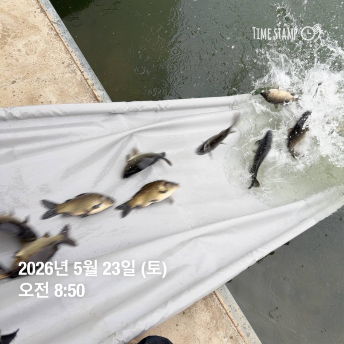 KakaoTalk_20260526_091809799_14 (1).jpg