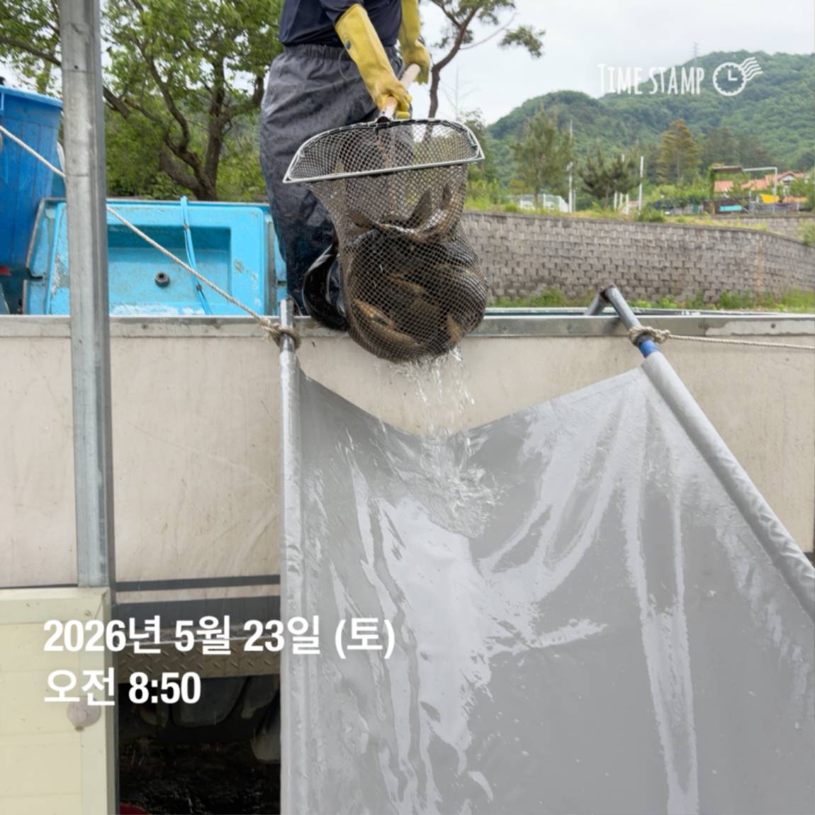 KakaoTalk_20260526_091809799_16 (1).jpg