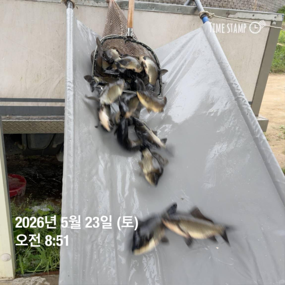 KakaoTalk_20260526_091809799_18.jpg