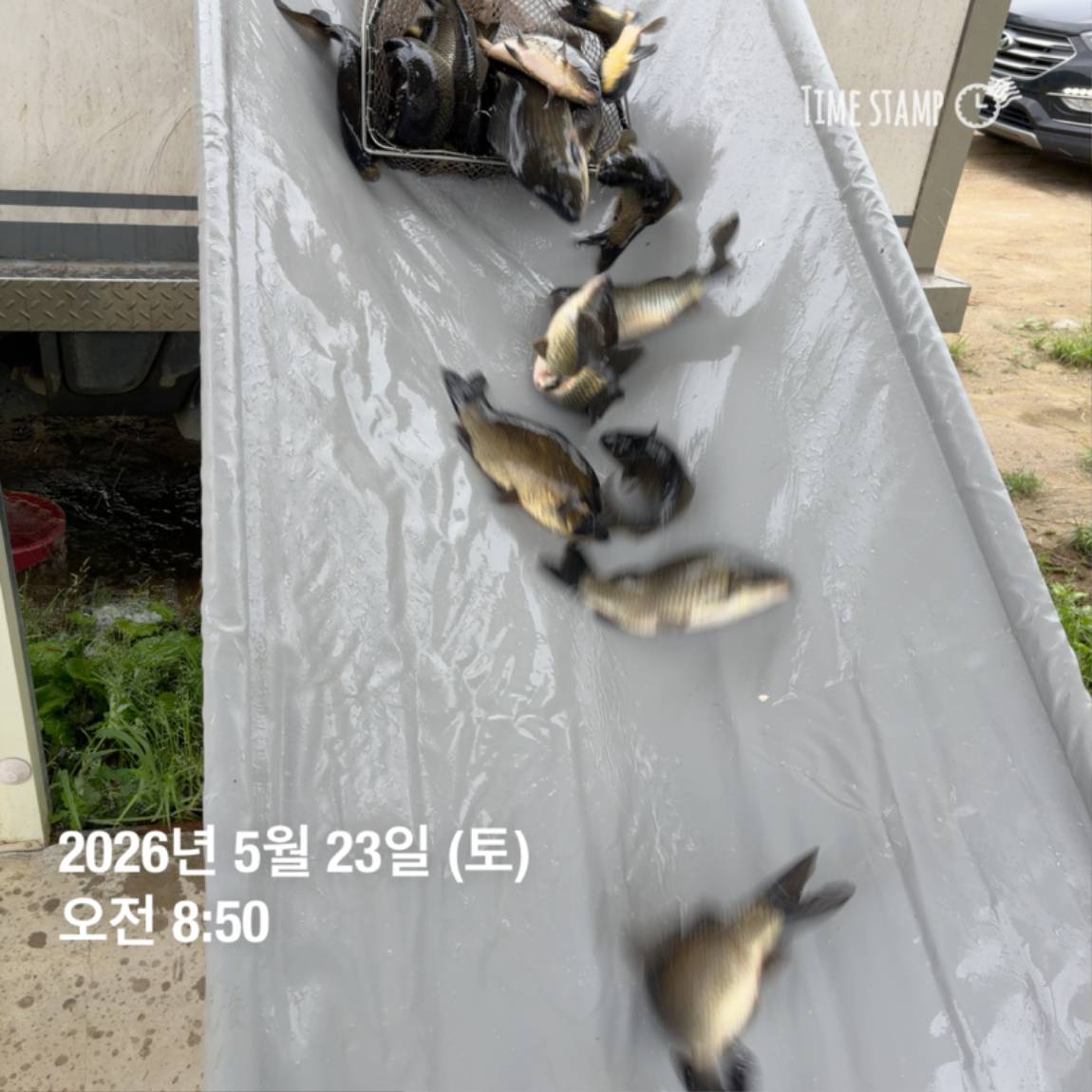 KakaoTalk_20260526_091809799_17.jpg