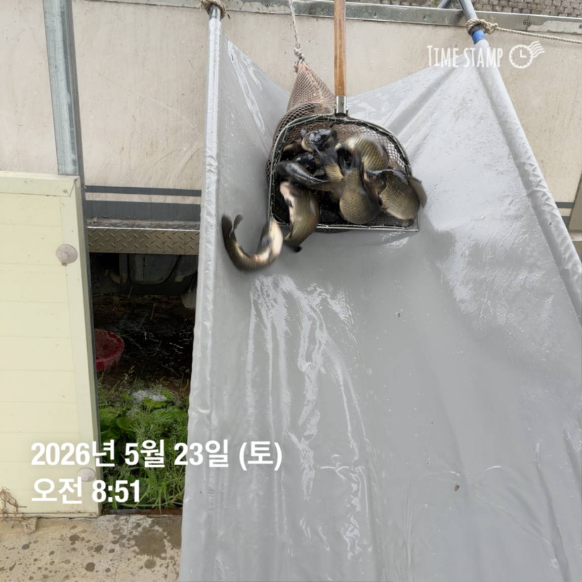 KakaoTalk_20260526_091809799_21.jpg