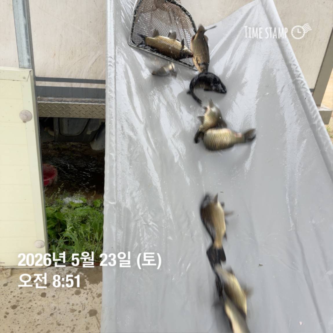 KakaoTalk_20260526_091809799_22.jpg