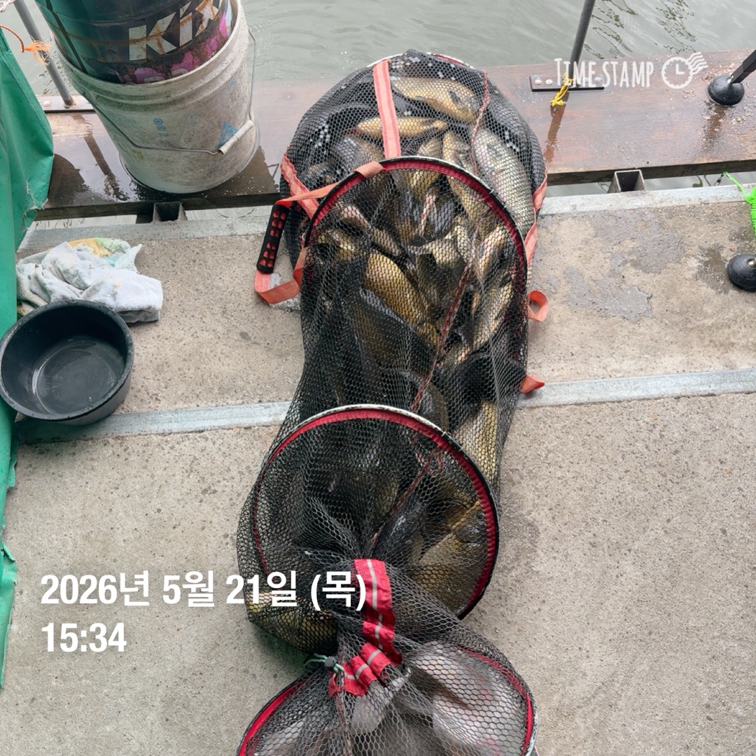 KakaoTalk_20260526_073345291_25.jpg
