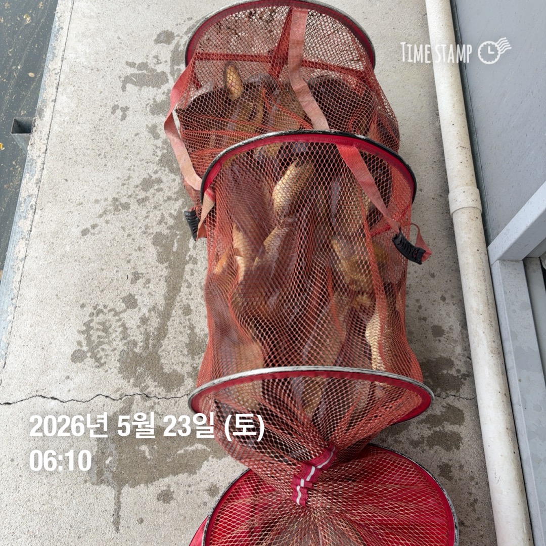 KakaoTalk_20260526_073345291_22.jpg