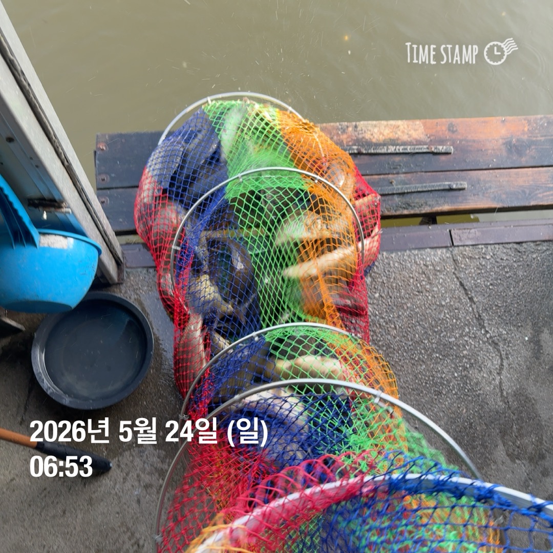 KakaoTalk_20260526_073345291_09.jpg
