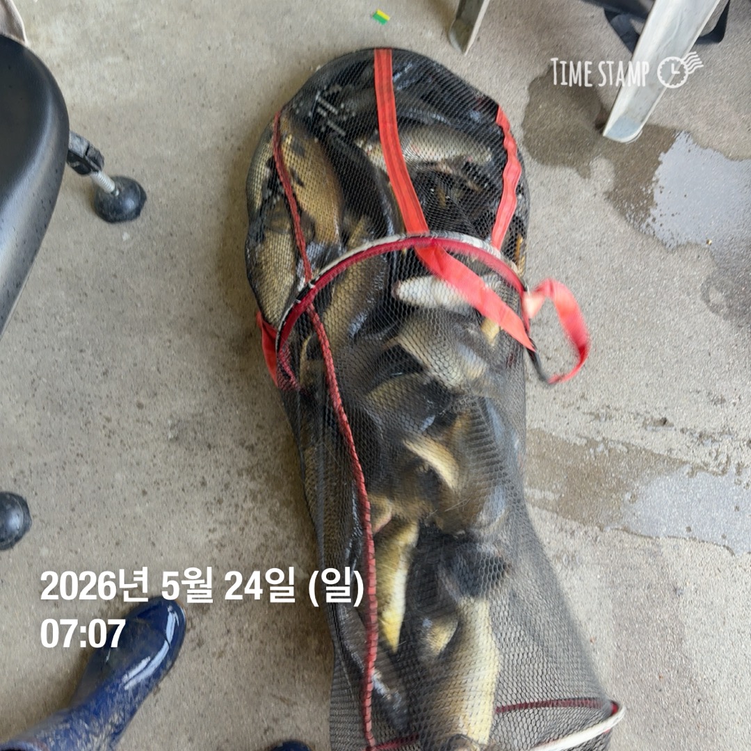 KakaoTalk_20260526_073345291_08.jpg