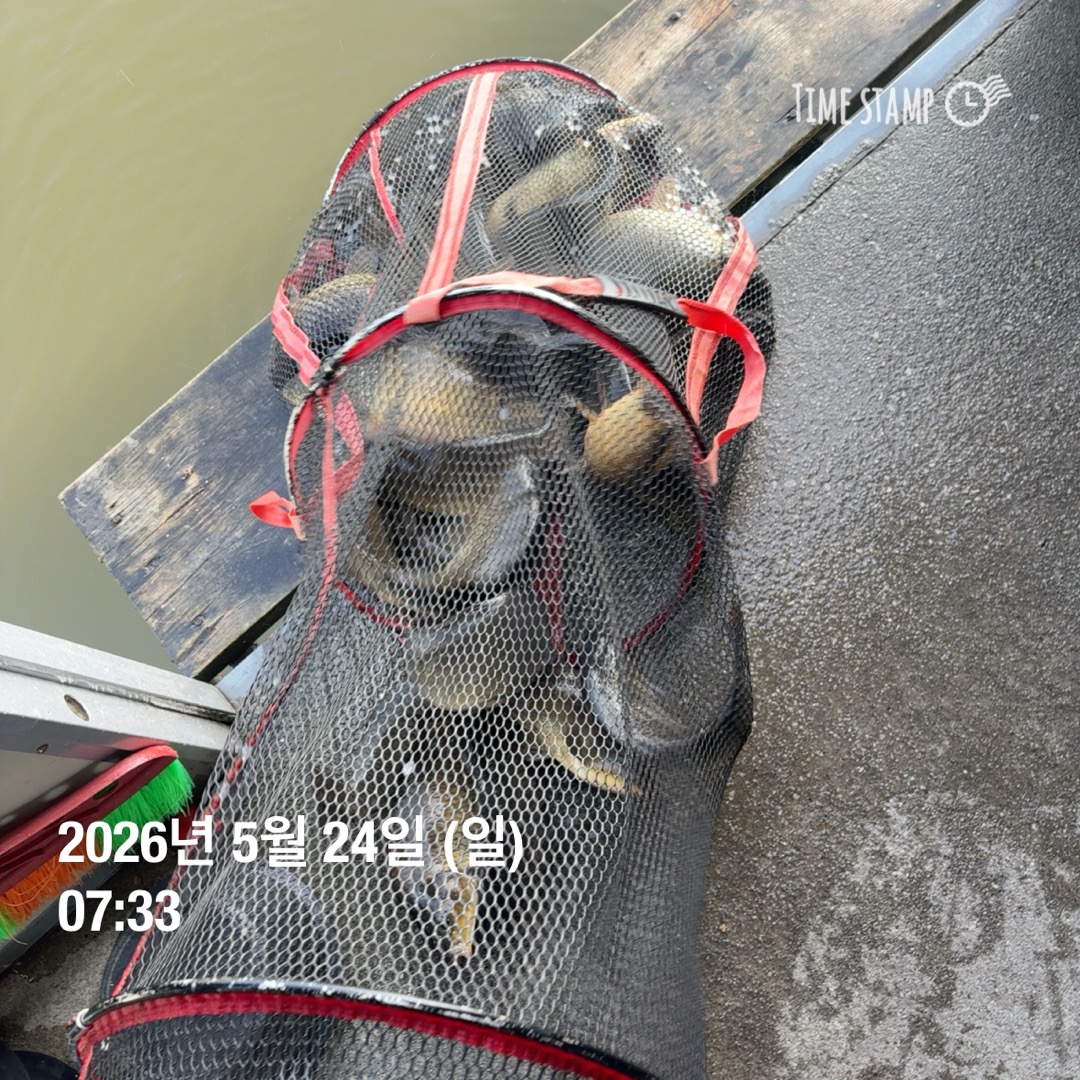 KakaoTalk_20260526_073345291_06.jpg