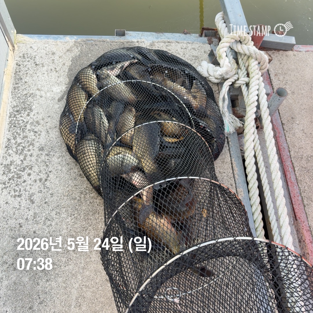 KakaoTalk_20260526_073345291_05.jpg