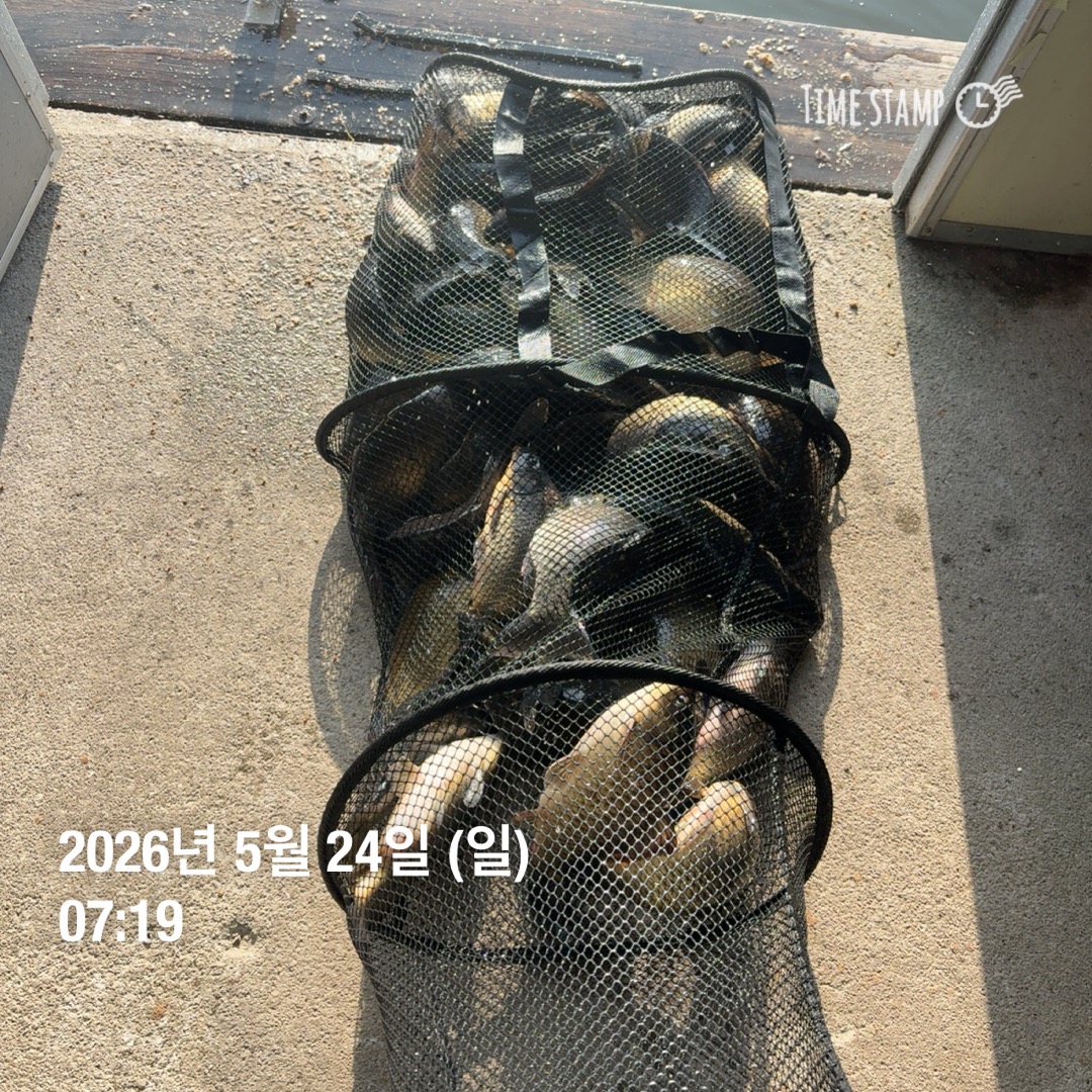 KakaoTalk_20260526_073345291_07.jpg