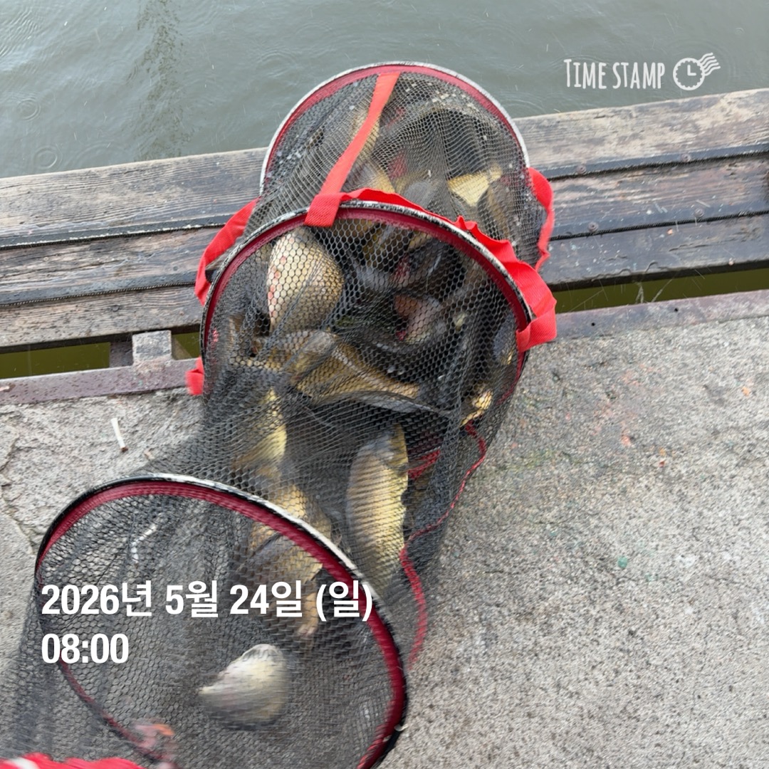 KakaoTalk_20260526_073345291_04.jpg