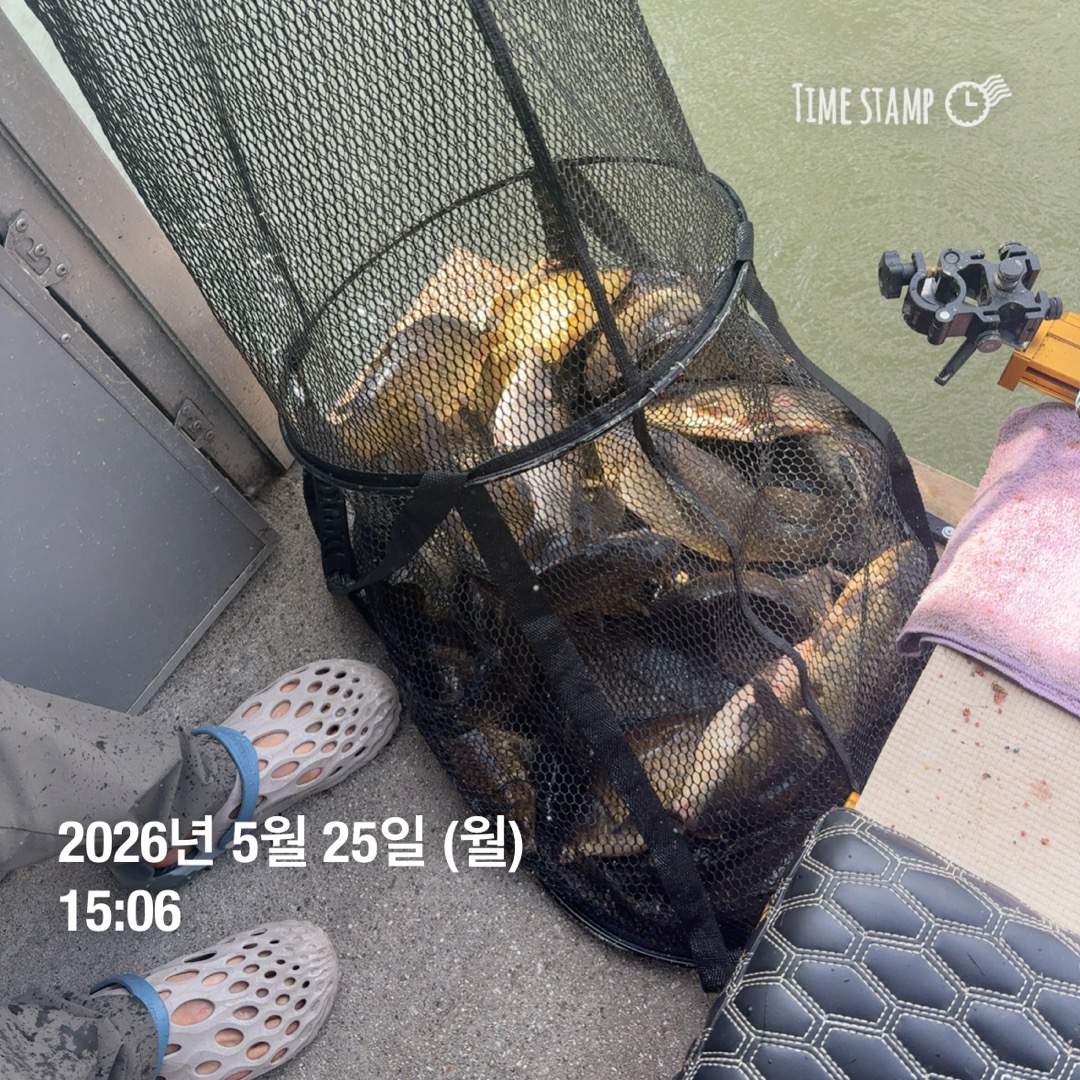 KakaoTalk_20260526_073345291.jpg