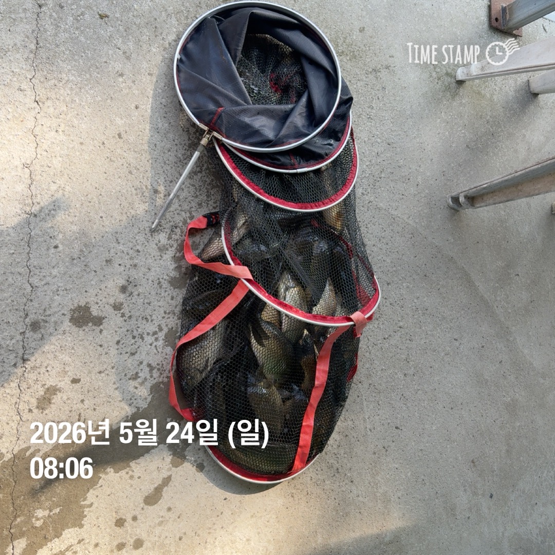 KakaoTalk_20260526_073345291_02.jpg