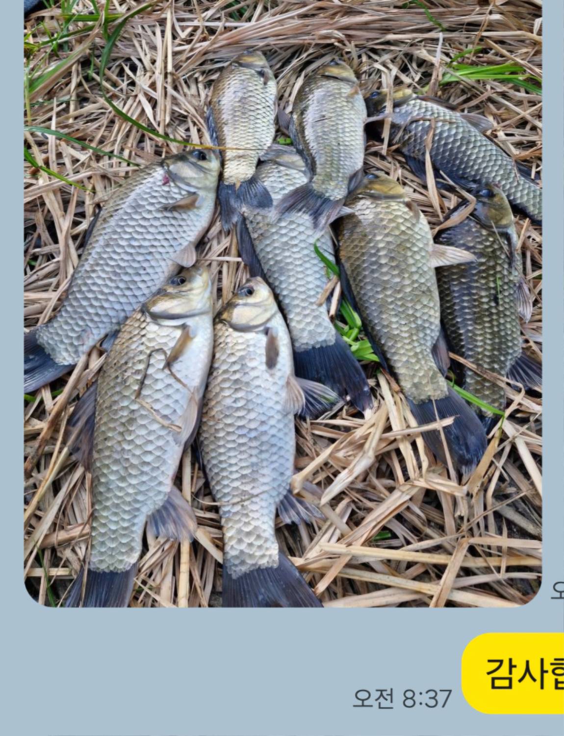 Screenshot_20260525_101732_KakaoTalk.jpg