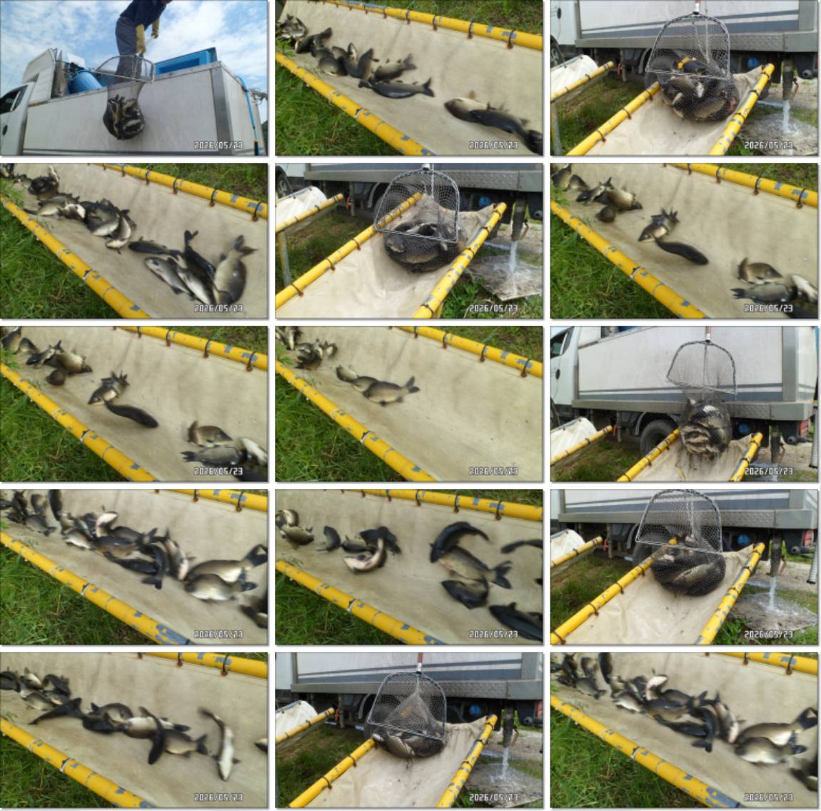 SAM_5083-tile.jpg