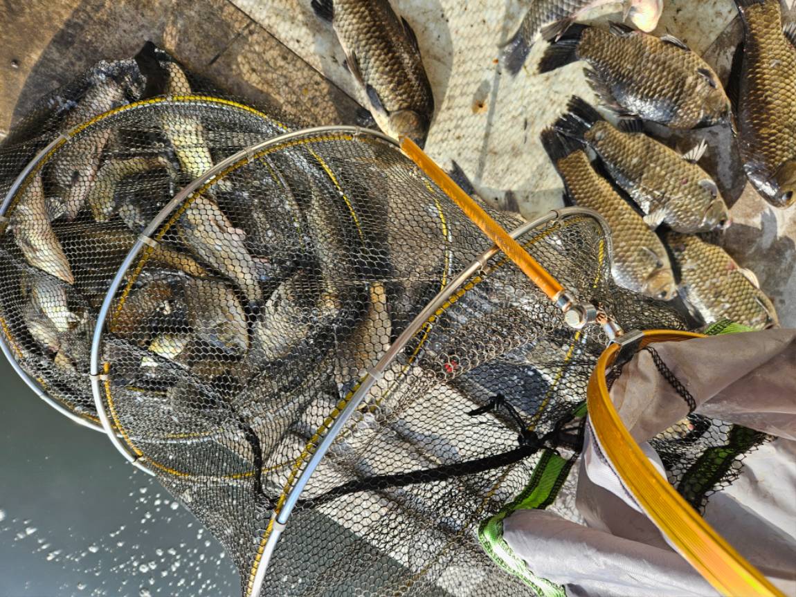 20260524_071858.jpg