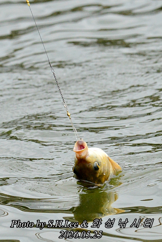 LSH_8906.JPG