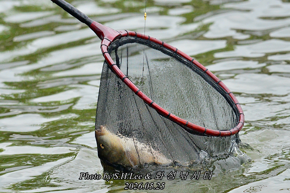 LSH_8909.JPG