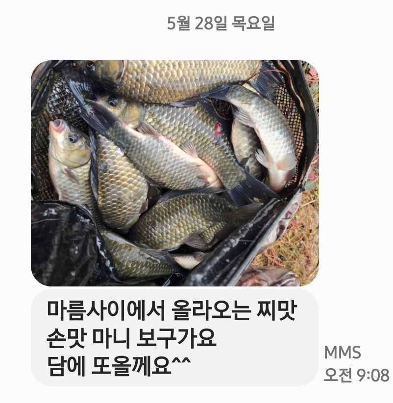 Screenshot_20260528_090831_Messages.jpg