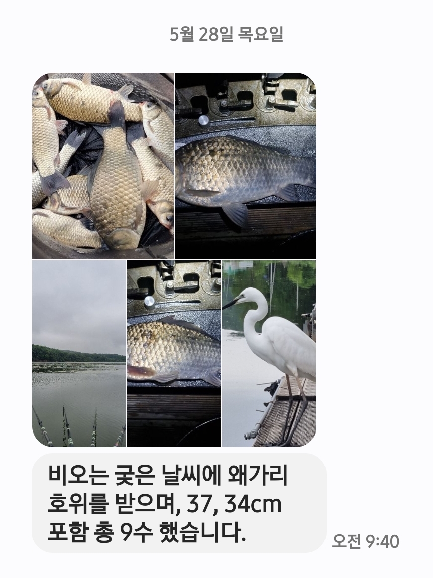 Screenshot_20260528_094113_Messages.jpg