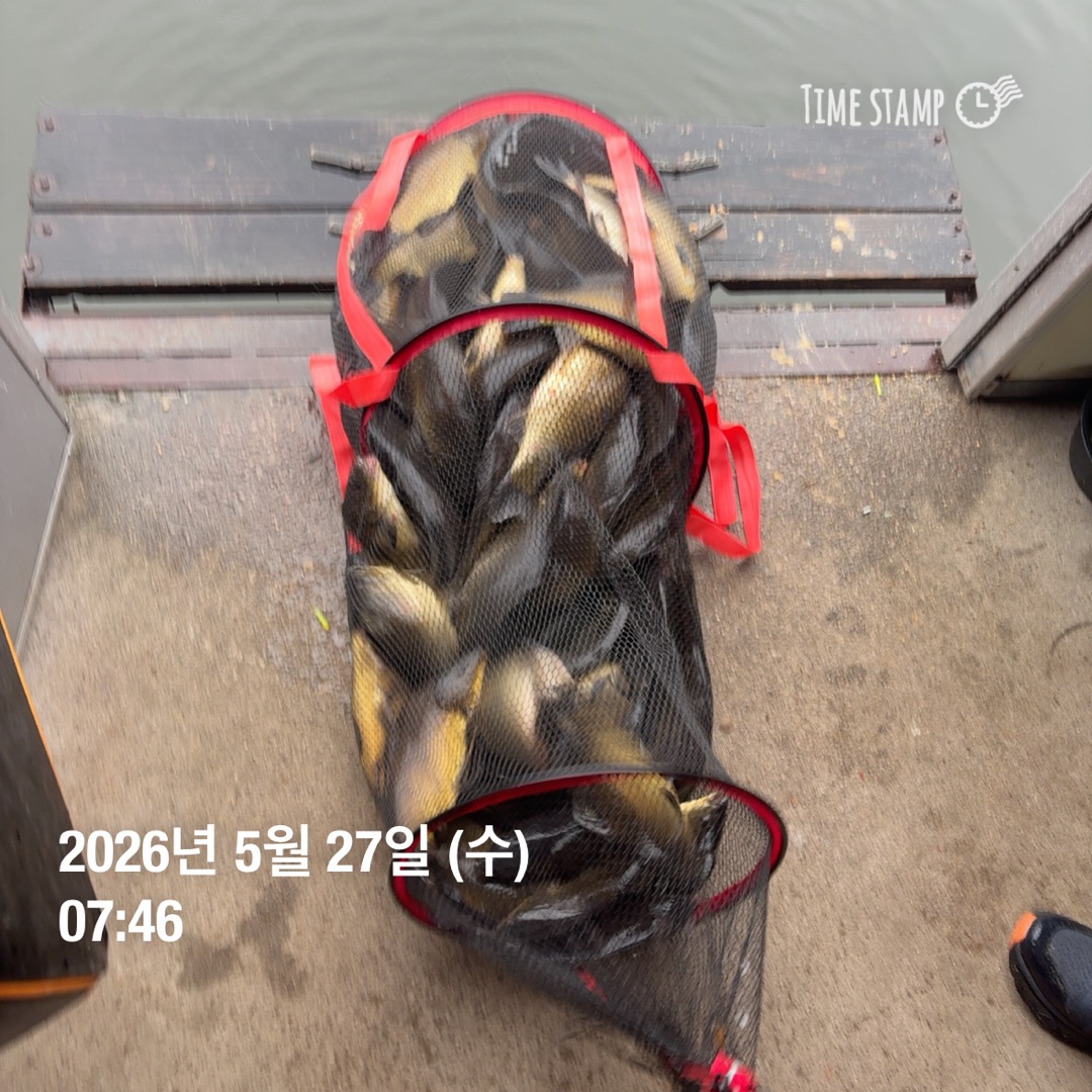 KakaoTalk_20260528_094816082_04.jpg