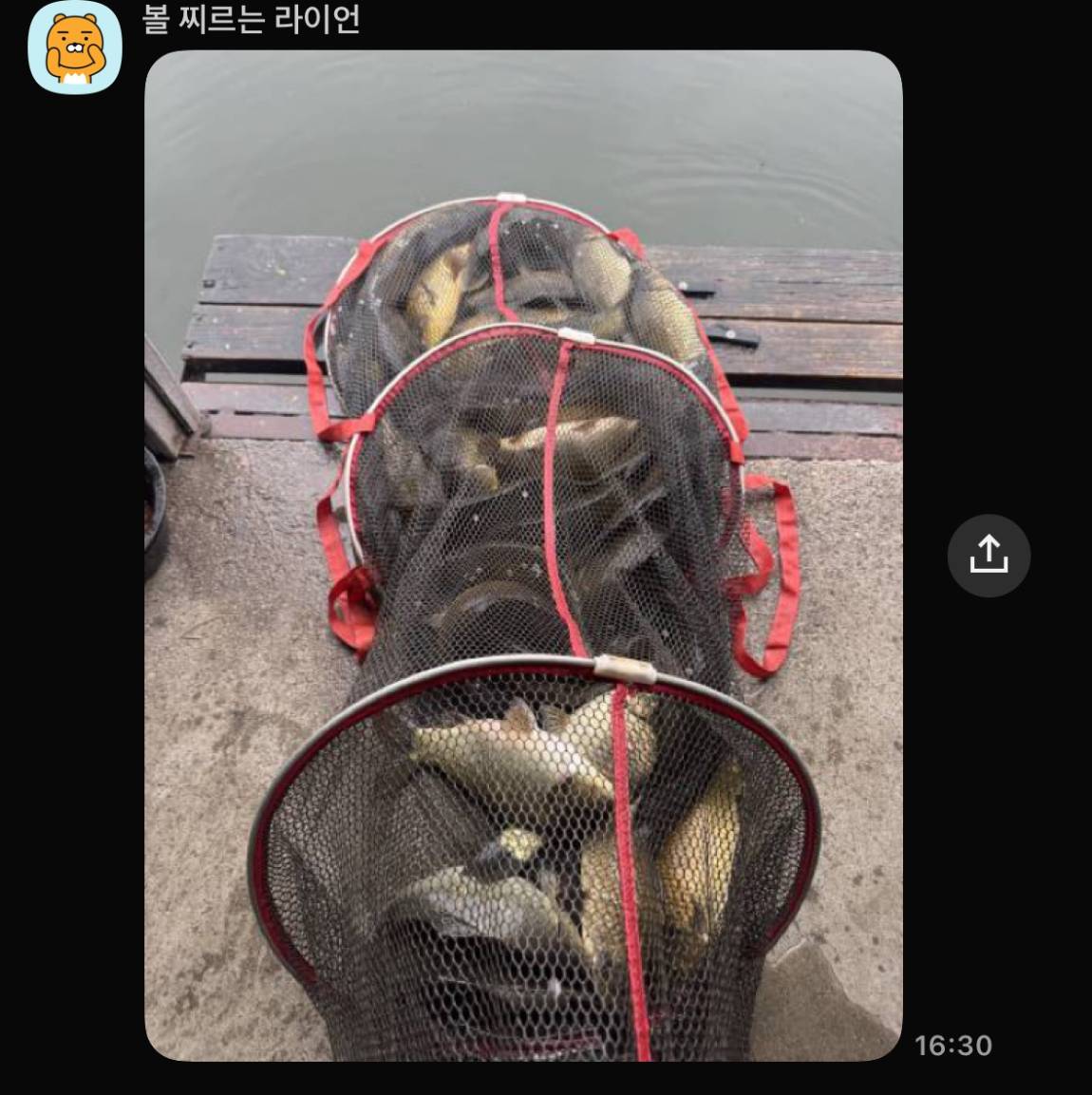 KakaoTalk_20260528_094816082_01.jpg