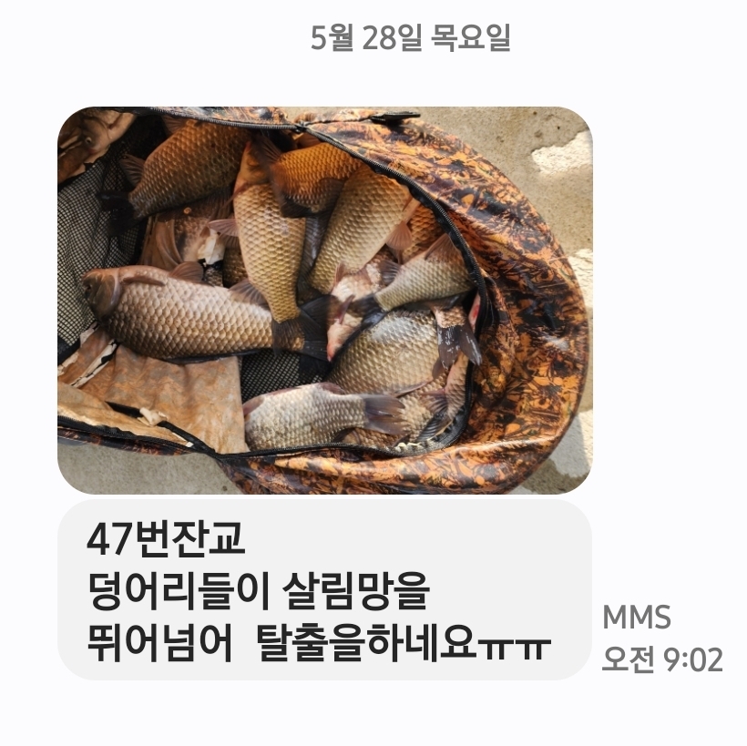 Screenshot_20260528_090312_Messages.jpg
