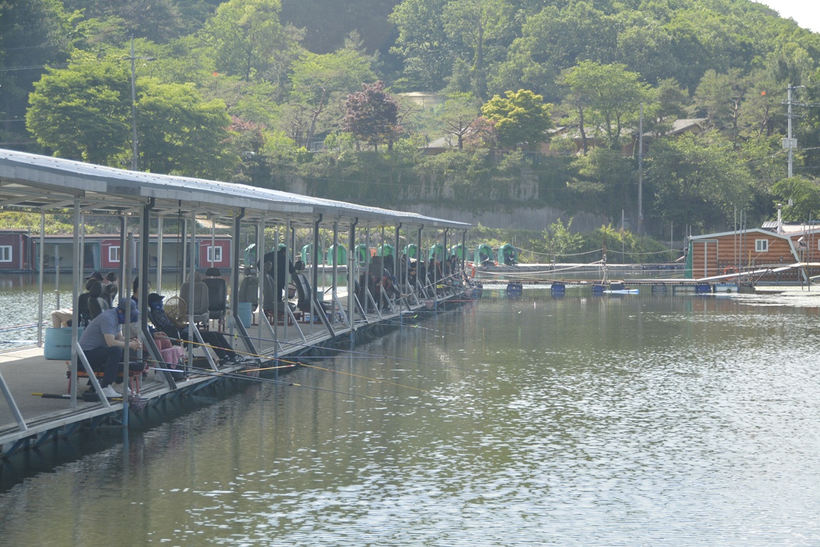 _7104142.JPG