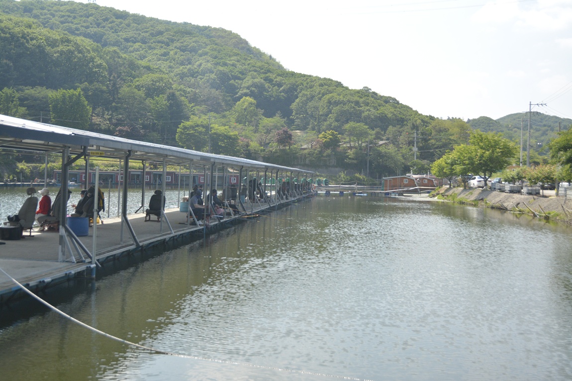 _7104144.JPG
