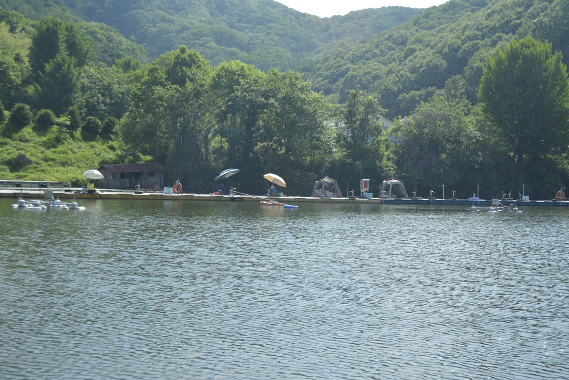 _7104146.JPG