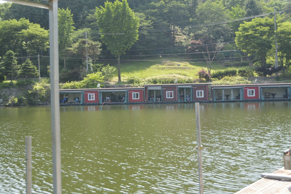 _7104160.JPG